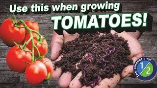 Organic Fertilizer for Tomato Plants Benefits of Earthworm Castings for tomatoes