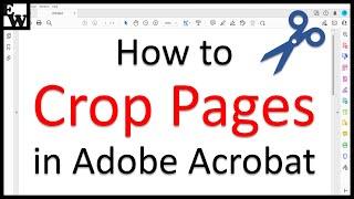 How to Crop Pages in Adobe Acrobat (PC & Mac)