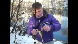 Street Fishing - Отчет за 4.11.14