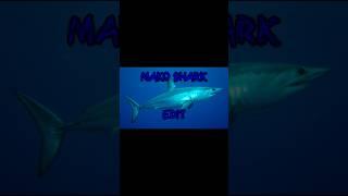Mako Shark Edit - Play With Fire #makoshark #sharkedits #shark