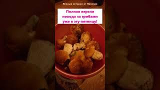 Тихая охота в разгаре.  Часть 3.  #shorts