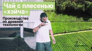 Как делают "черный чай" в Аньхуа, провинция Хунань. 安化黑茶