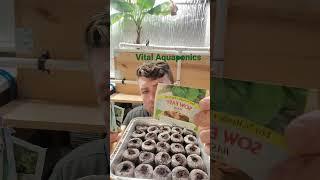 Starting seeds for my aquaponics system