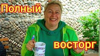 2. МОЁ ЖИЛЬЁ В ГУРЗУФЕ. НАС 8 ТЫСЯЧ!!! ВОСТОРГ ОТ КРЫМА. ПРЕКРАСНАЯ НАБЕРЕЖНАЯ. ИВАНЫЧ КУПАЕТСЯ!