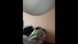 ПИПЕЦ НАТЯЖНОМУ ПОТОЛКУ!/РУБРИКА НЕГОДНО