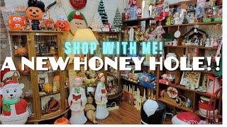 I Found a New HONEY HOLE! | Shop With Me For Vintage & Antiques | Amazing Deals!