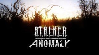  S.T.A.L.K.E.R Anomaly | ГЛАЗАМИ НОВИЧКА