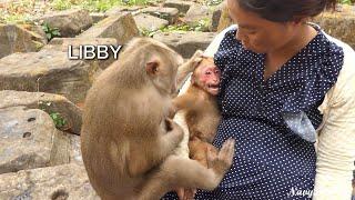 Surprise Day for Take Care Stump Tail Abu & Feeding Milk but Libby Arrival to Make Massage to Him!