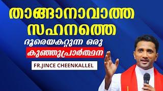 അസാധ്യകാര്യങ്ങളെ നേടിയെടുക്കാൻ ശക്തമായ ഒരു കൊച്ചുപ്രാർത്ഥന Faustina's Diary Fr. Jince Cheenkallel