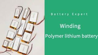 Performance characteristics of lithium polymer battery
