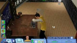 Sims 3 Ambitions How to make a SimBot