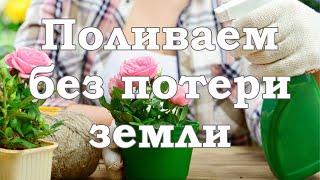 Полив цветов без потери земли. Сад. Огород. Садовод и огородник.