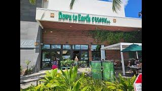 [4K] Down To Earth Organic & Natural on 10/9/24 in Kailua, Oahu, Hawaii