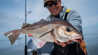 Spring Haddock Fishing | Plymouth, MA | S20 E04