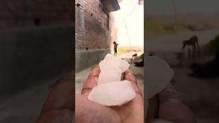 petha methai #viral#funny#trending#prince rack 67