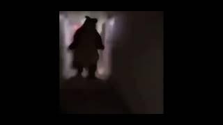 Bear chasing person down hall meme