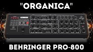 Behringer Pro-800 - "Organica" Soundset 50 Presets