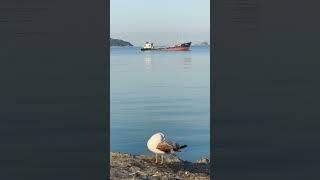 Hayata yüksekten bakmayı, yüklerden hafiflemeyi ve hiçbir şeye ait olmadan var olmayı fısıldıyorlar.