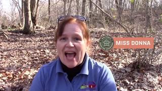 Miss Donna's Woodland Adventures | Episode 4: What in the Woodland is That?
