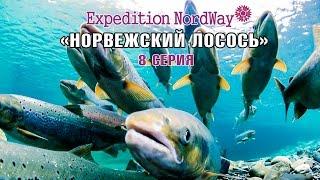 Expedition NordWay | НОРВЕГИЯ | 8 серия “Норвежский лосось и волосатые крыши”