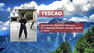 Элементы Тескао -тренировка Виталия Савченко | Базовый комплекс