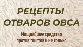 РЕЦЕПТ ОВСА / ОВСА С ТРАВАМИ ПРОТИВ ГЛИСТОВ! Большой выпуск со всей информацией.