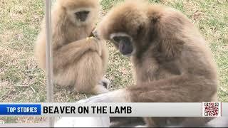 NEWSCHANNEL 2 TONIGHT, FRIDAY, APRIL 11, 2025