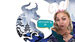 Год Быка 2021 предсказание для Крыс