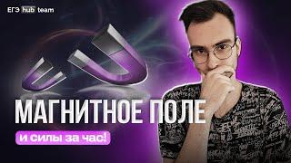 Магнитное поле и силы | Тест-драйв по физике ЕГЭ | EGE hub - Влад Кельвин