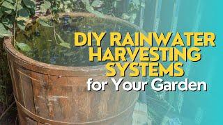 DIY Rainwater Harvesting Systems for Your Garden