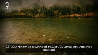 Успокаивающая чтение Корана! Какую же из милостей вашего Господа вы считаете ложью?