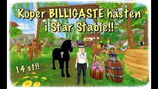 Köper BILLIGASTE HÄSTEN i Star Stable!! 14 st hästar!!