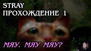 Stray ПРОХОЖДЕНИЕ 1 - Мяу мяу мяу