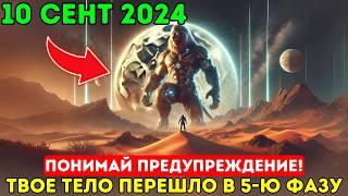 ПРЕДУПРЕЖДЕНИЕ ОТ СИРИУСНЫХ ФЕЛИНОВ! 10 сентября 2024 года, знаки полной луны ведут вас в 5D