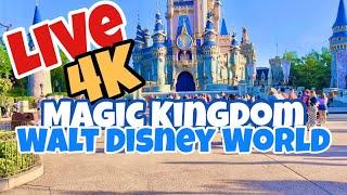  Live 4k 2160p Magic Kingdom Walt Disney World, Marky Mouse Live Stream