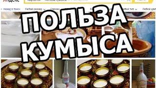 Чем полезен кумыс (кымыз)