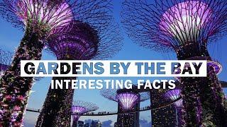 15 Most Interesting Facts About Gardens By The Bay, Singapore