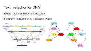 Biotechnology. Lectures 1-2. Basic genetic engineering