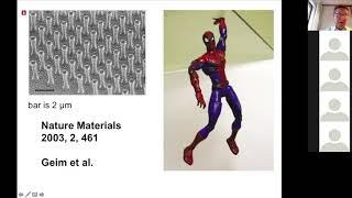 Gecko's Feet and Stealth Airplane Coating - Nanotechnology and Nanomaterials 6, R. M. Williams, UvA