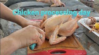 Chicken processing day!!!