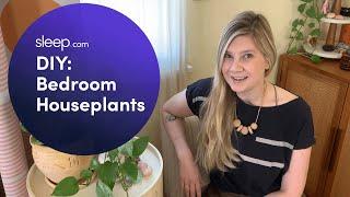 How to Use Bedroom Plants for Better Sleep | Sleep DIY with Meg Allan Cole | Sleep.com