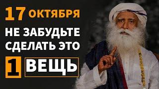 Садхгуру по-русски | Примените эту 1 вещь на 7 точек тела | Полная луна и новолуние