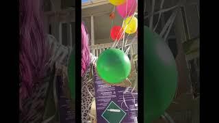 Blowing Big Balloon Bouquet #wannawander #shorts