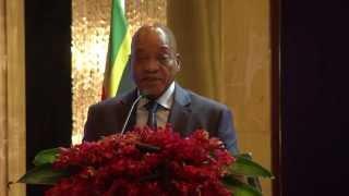 President Jacob Zuma addresses the South Africa- China Business Forum