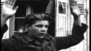 German prisoners captured on street in St Lo, France. HD Stock Footage