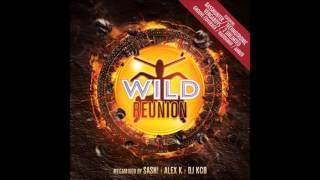 WILD REUNION 4 - ALEX K WILD REUNION MEGAMIX