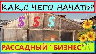 Как начать цветочно-овощной "БИЗНЕС" на Рассаде. Сколько нужно денег вложить для получения прибыли.