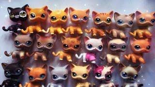 ЭКСКЛЮЗИВНАЯ РАСПАКОВКА!!!СРАЗУ ДВЕ ПОСЫЛКИ !!!!!!! lps Littlest Pet Shop | Hasbro стоячки!!!