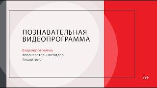 «Сталинград. 200 дней мужества и стойкости» Информационно-познавательная видео программа.