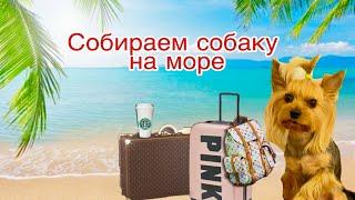 Собираем чемодан для собаки на море // Что взять для собаки в отпуск